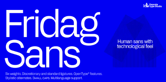 [Myfonts] Fridag Sans Font Family (2022)_0.png